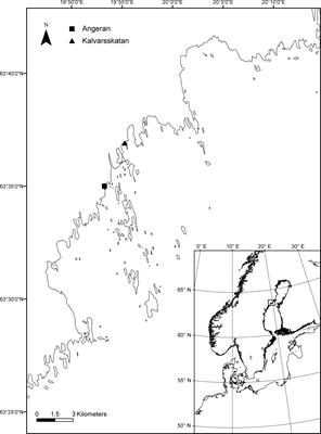 Bacterial community responses to planktonic and terrestrial substrates in coastal northern Baltic Sea